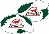 logoprime